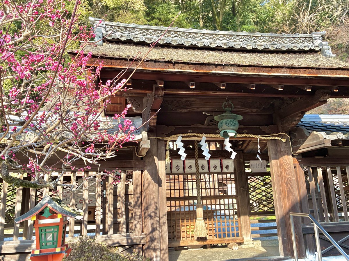 狛犬さん tweet media