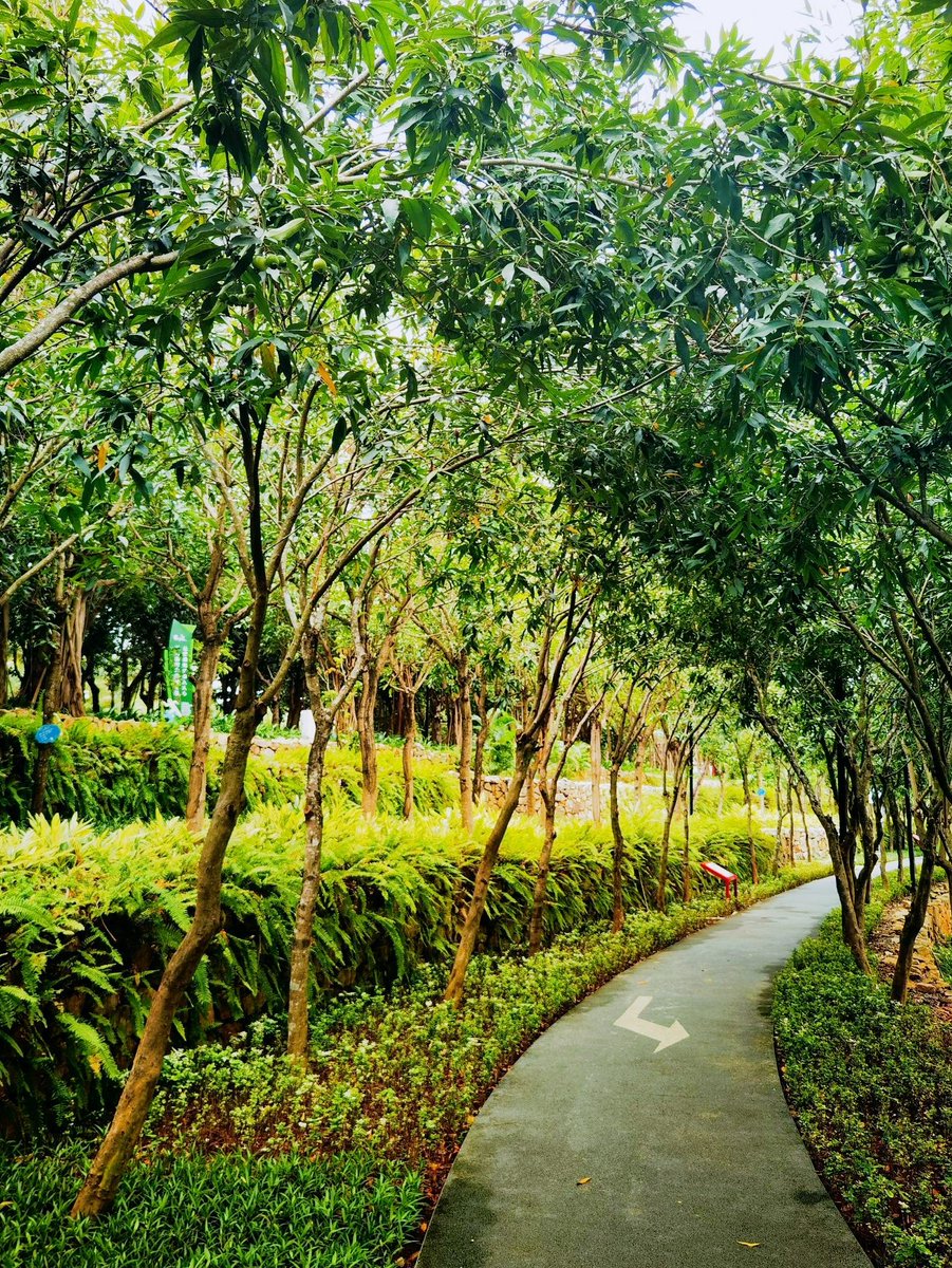 Mavet Lopez tweet media