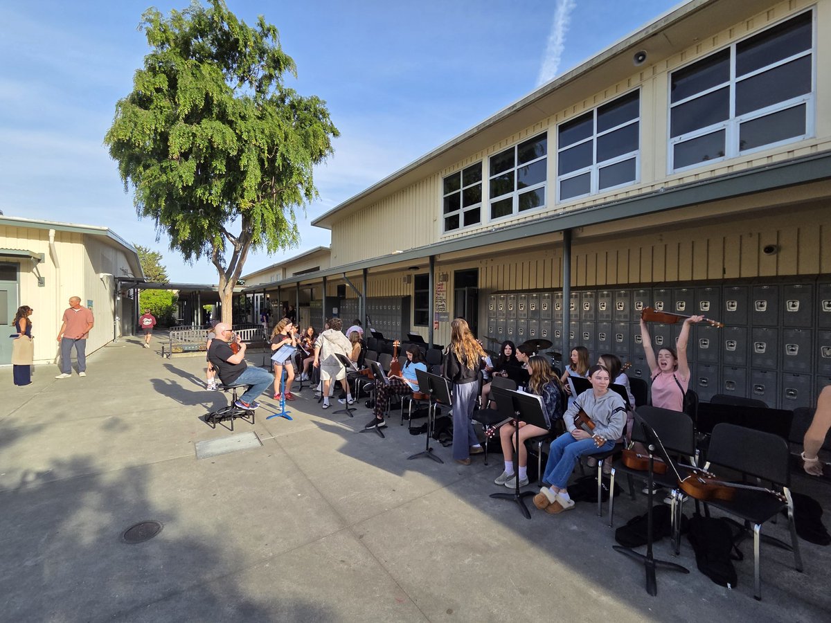 Hall Middle School tweet media