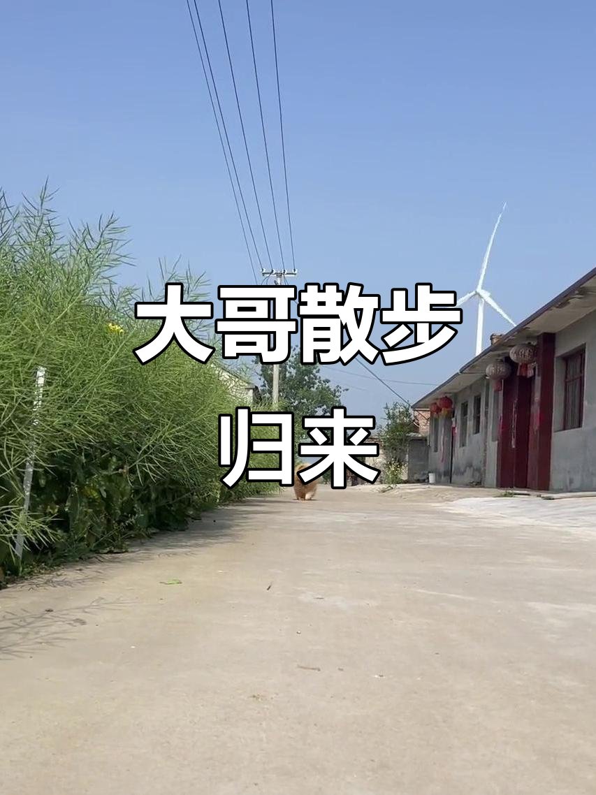 Tim Cheng tweet media