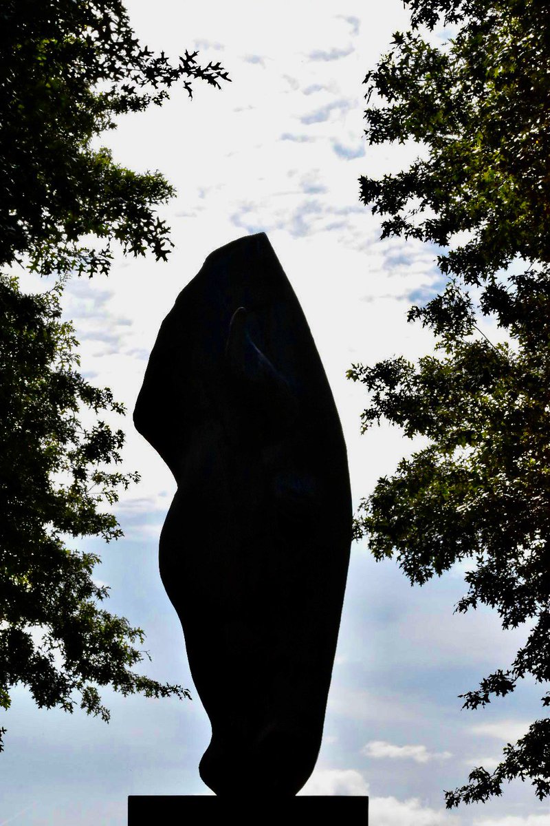 Tony 🇬🇧 tweet media