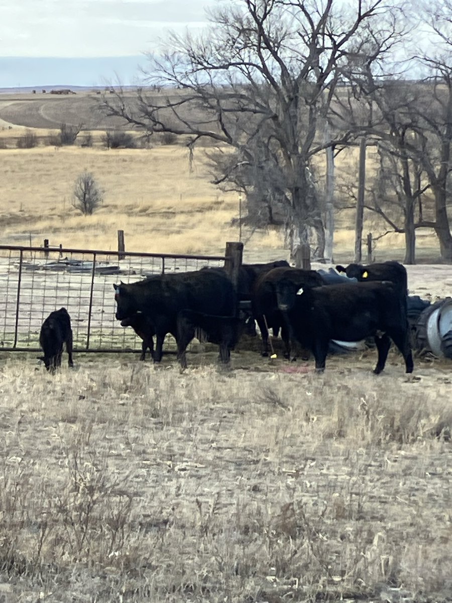 Farmer Joe tweet media