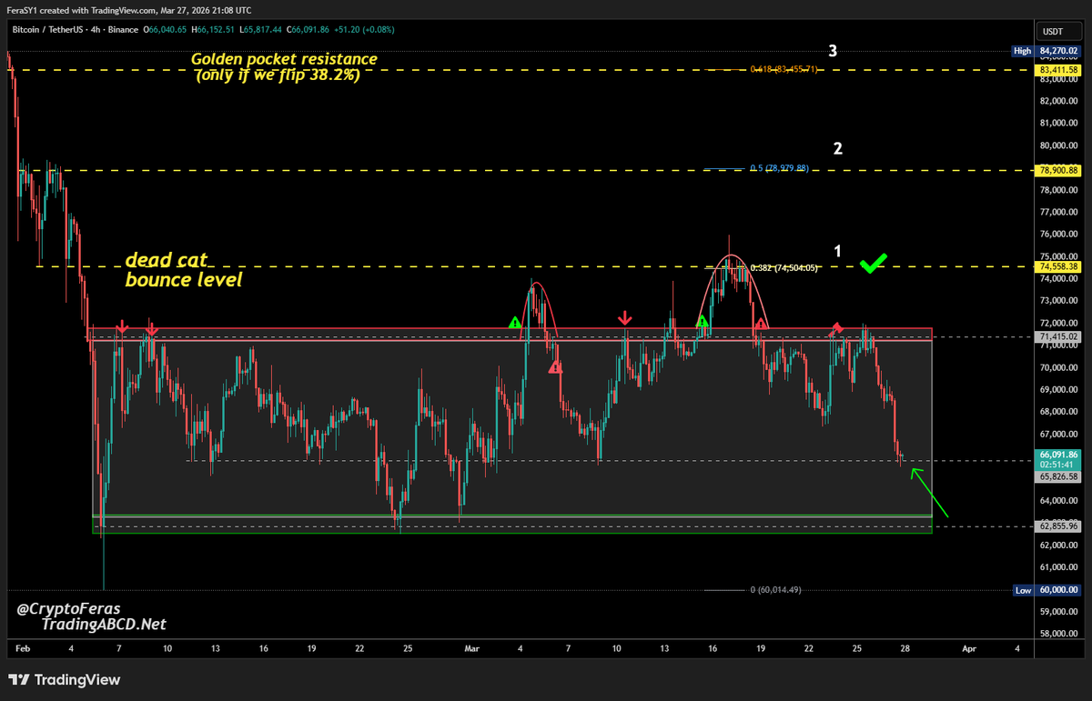 Crypto Feras  tweet media
