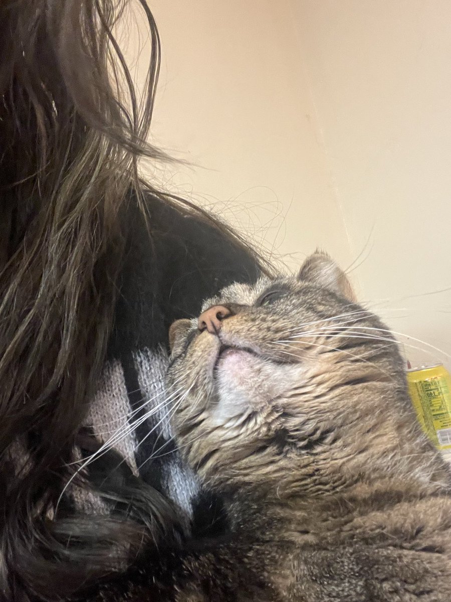 botched babe 🇵🇸 tweet media