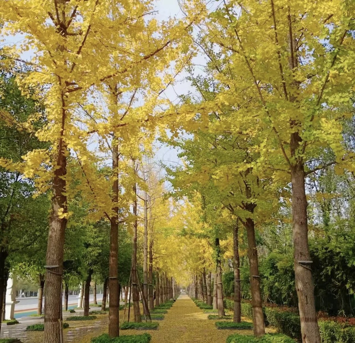 Adiela Bright Reuben tweet media