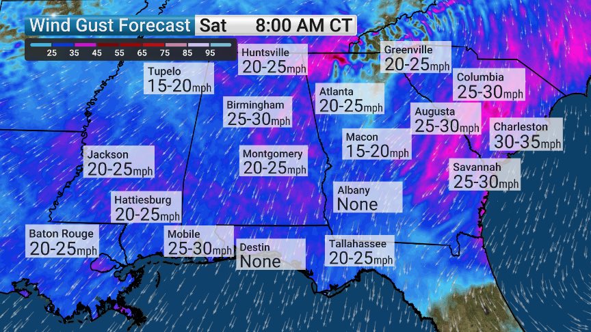 Mike Bettes tweet media