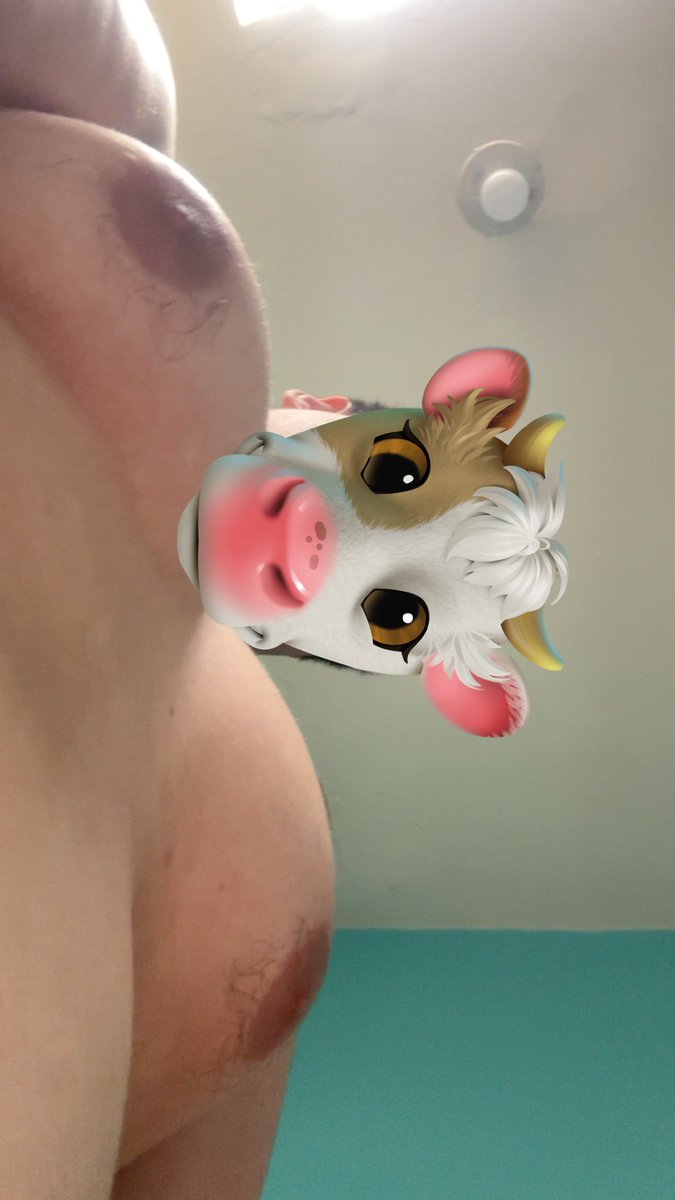Cowbronsote 🐮 tweet media