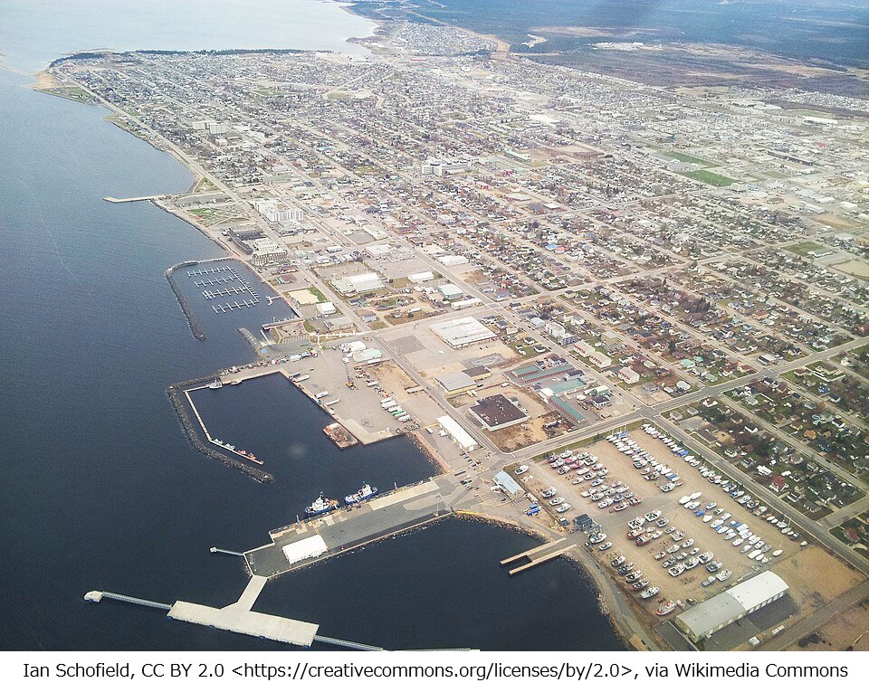 とっち庵 tweet media