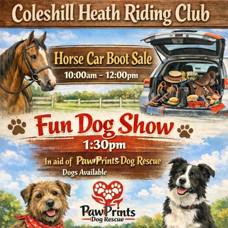 Pawprints Dog Rescue (UK) tweet media