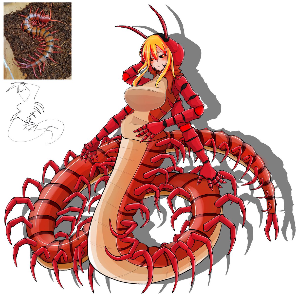 えくすです/skeb open tweet media