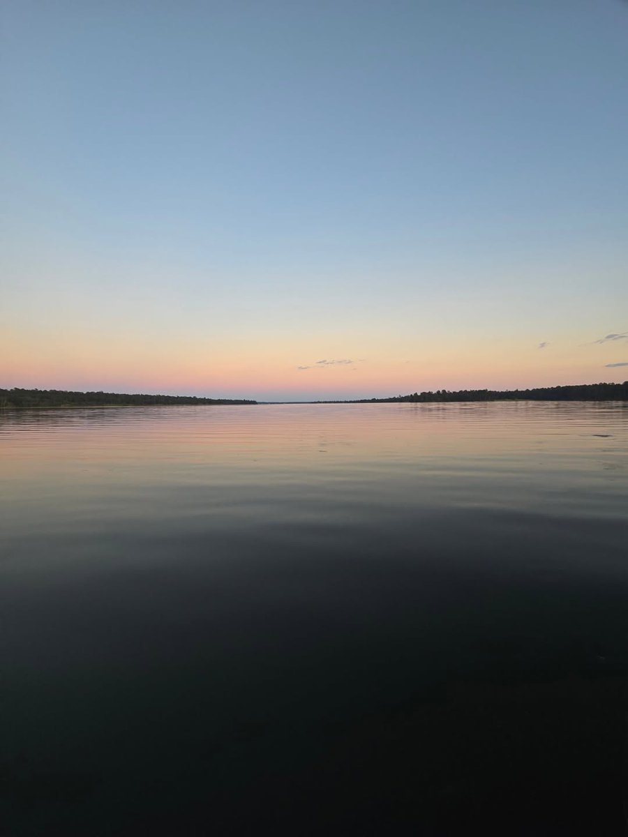 Conroe, Texas tweet media