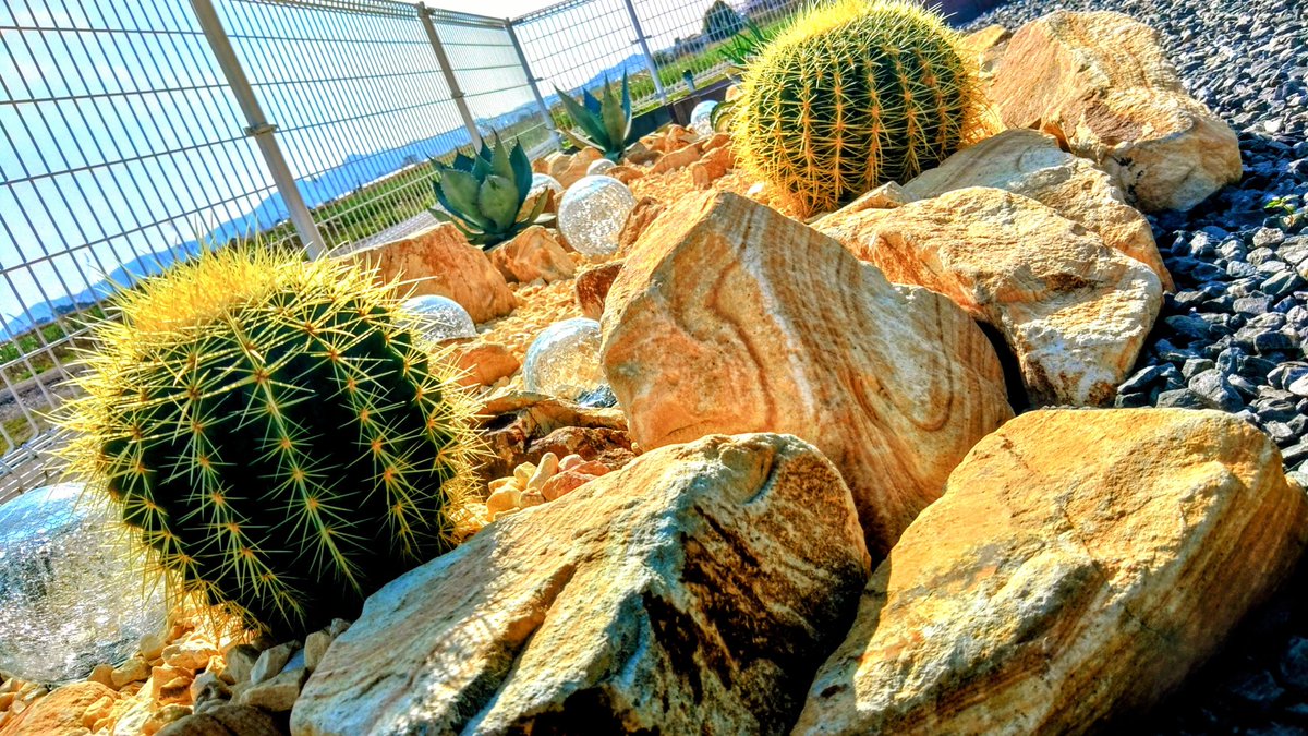 おとログ｜限りある父時間を楽しむ暮らし tweet media