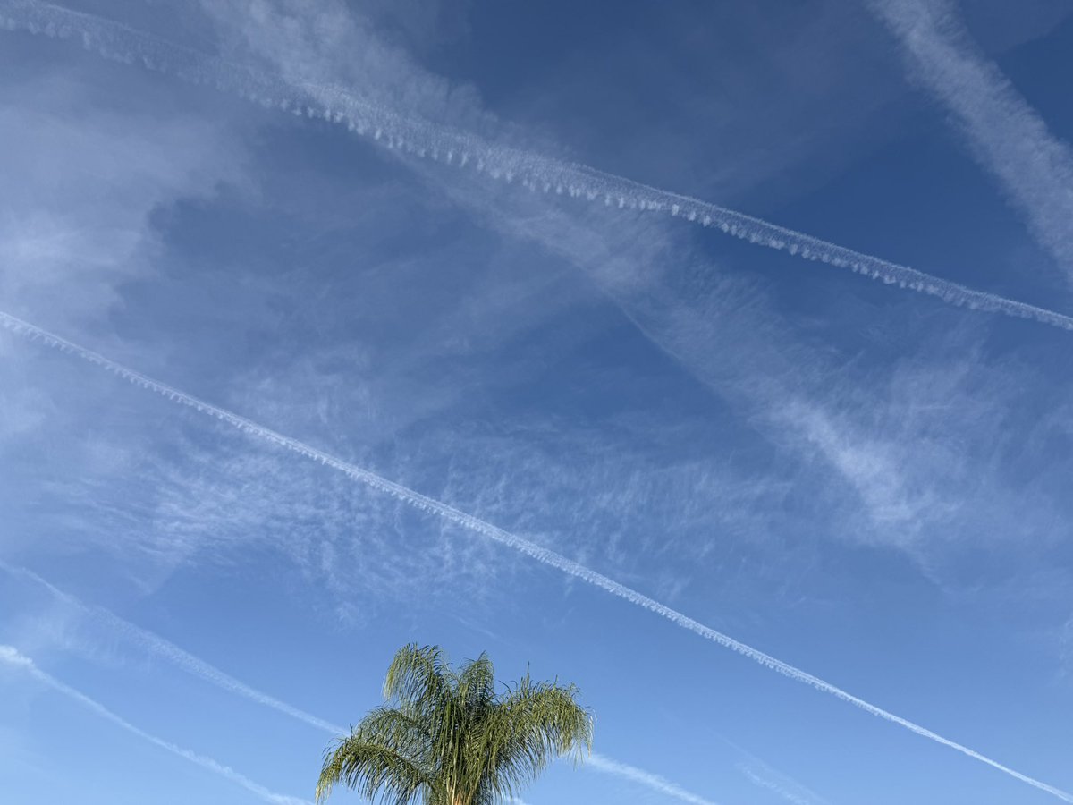 Intrepidus𝕏 tweet media