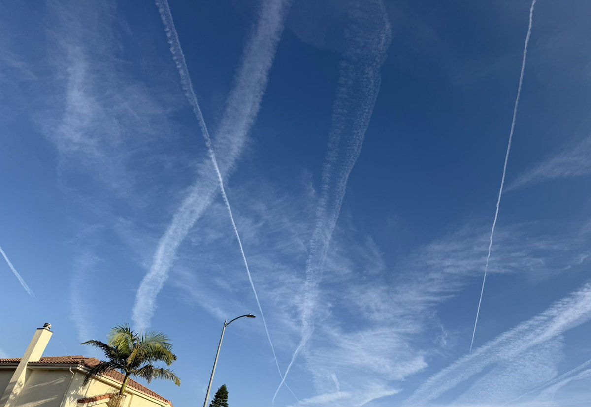 Intrepidus𝕏 tweet media