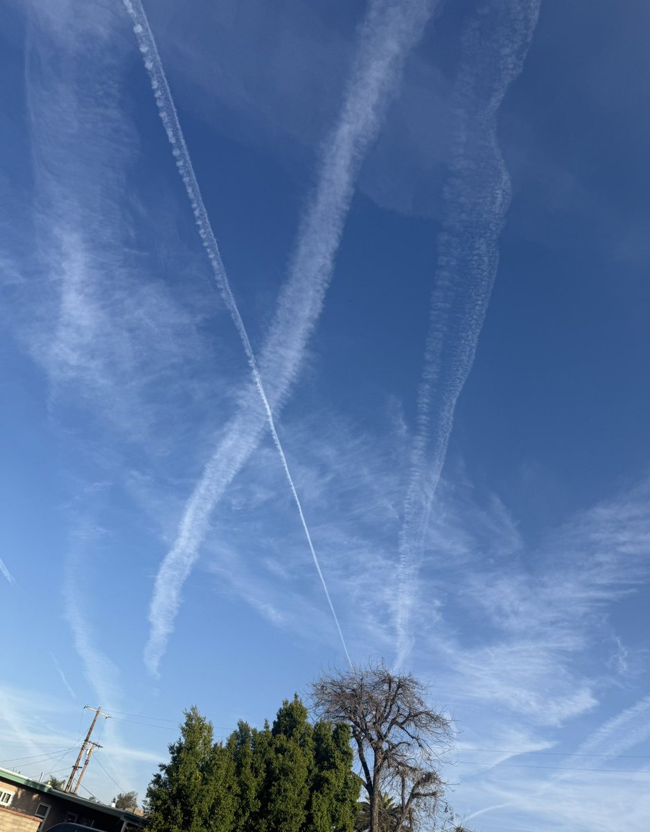 Intrepidus𝕏 tweet media