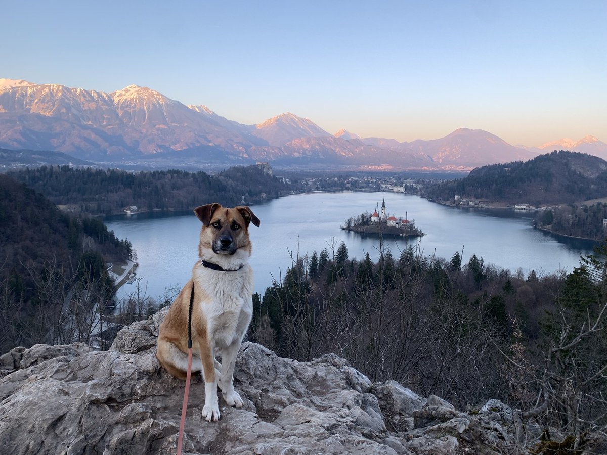 Exploring Slovenia tweet media