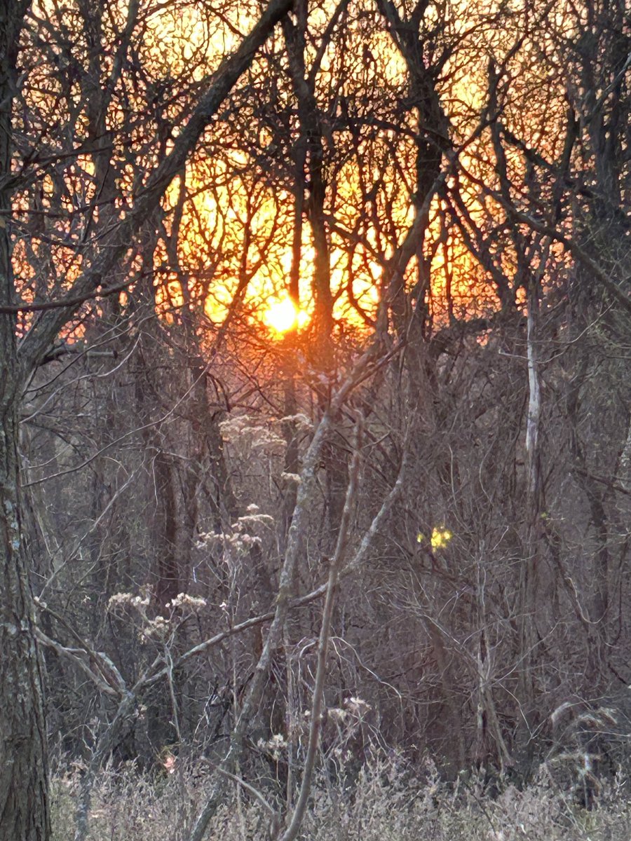 Kirsten Mustain tweet media