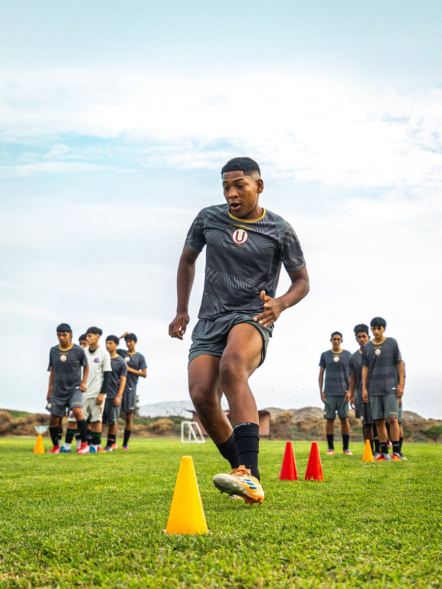 Divisiones Menores - Universitario tweet media