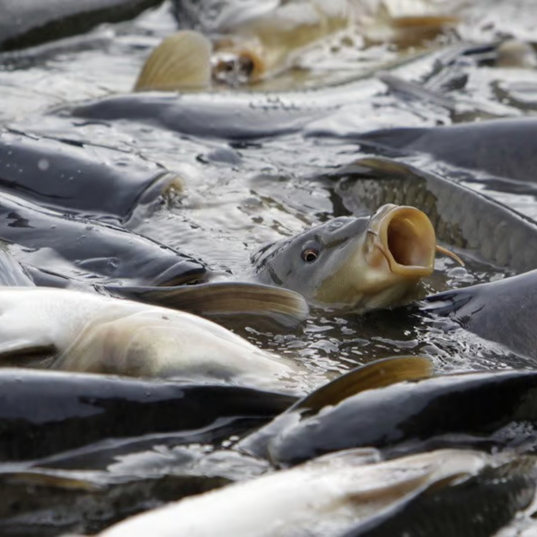 Pragni Patel tweet media