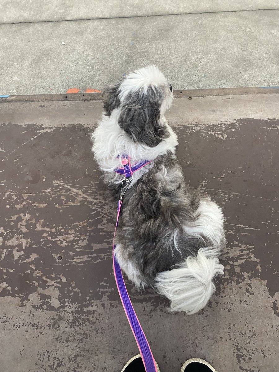 cams 🧞♀️ tweet media