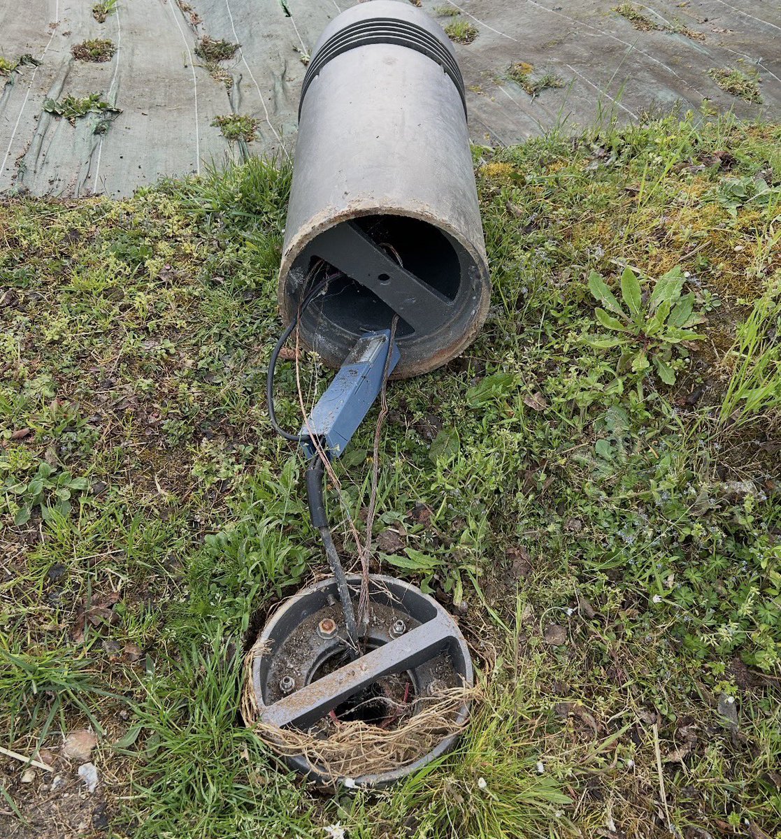 Sanaa Moubtassim tweet media