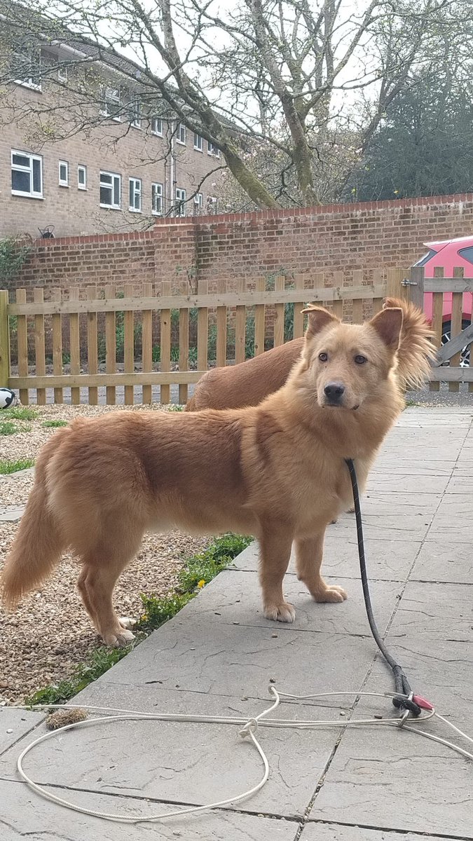 Gill Meek tweet media