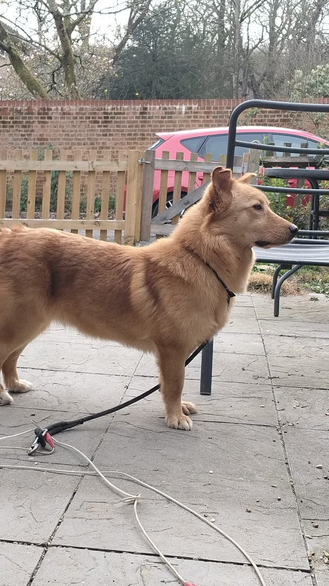 Gill Meek tweet media