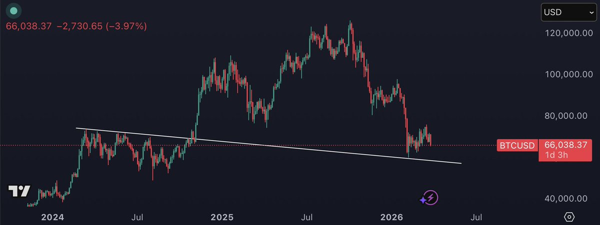 K A L E O tweet media