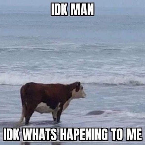 ⭑.ᐟ cher tweet media