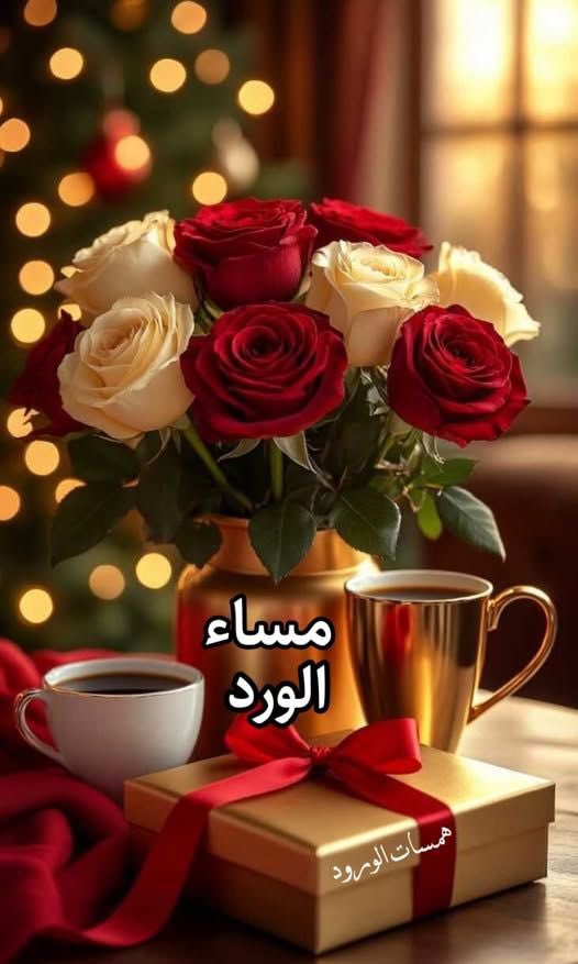 ayman ahmead tweet media