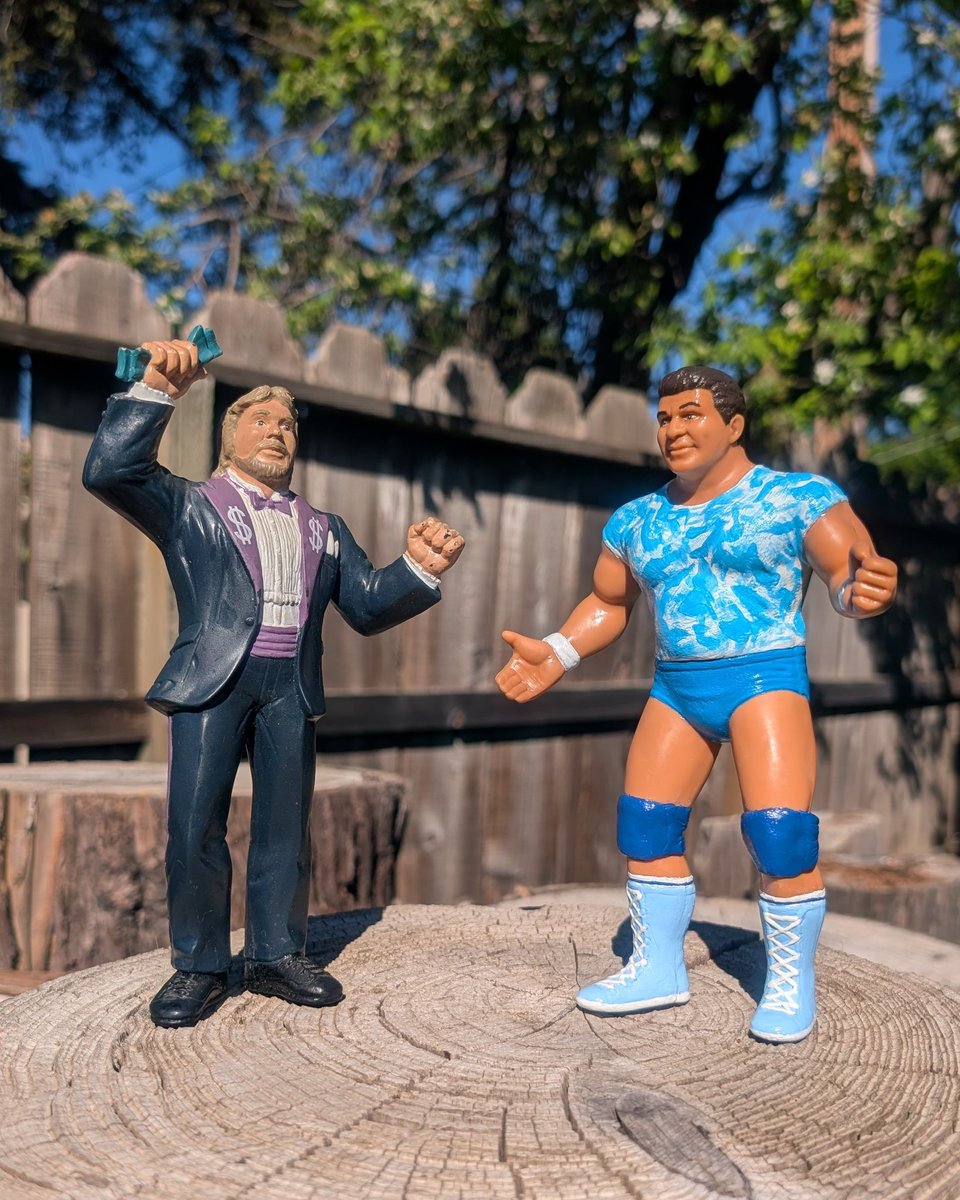 80s Wrestling Fan tweet media