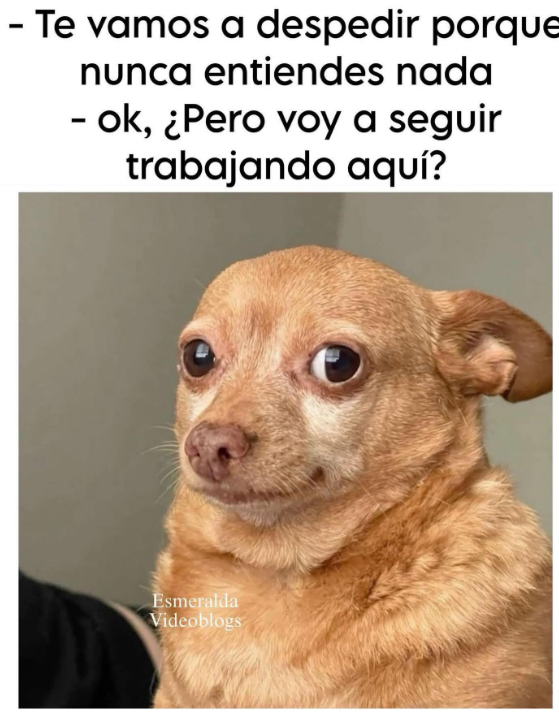 ✝ Magomarc ✝ tweet media