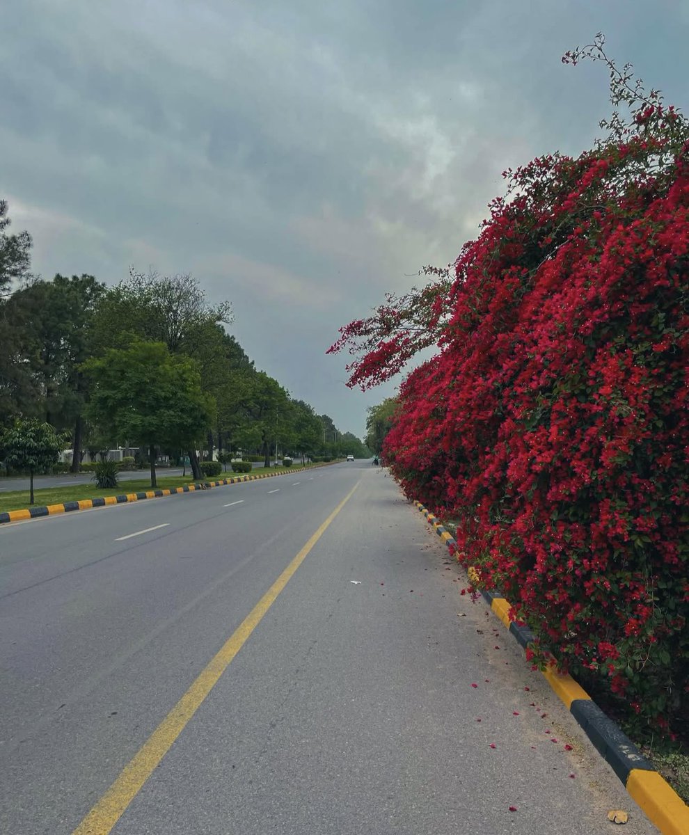 Kinnzayyy 2.0 tweet media