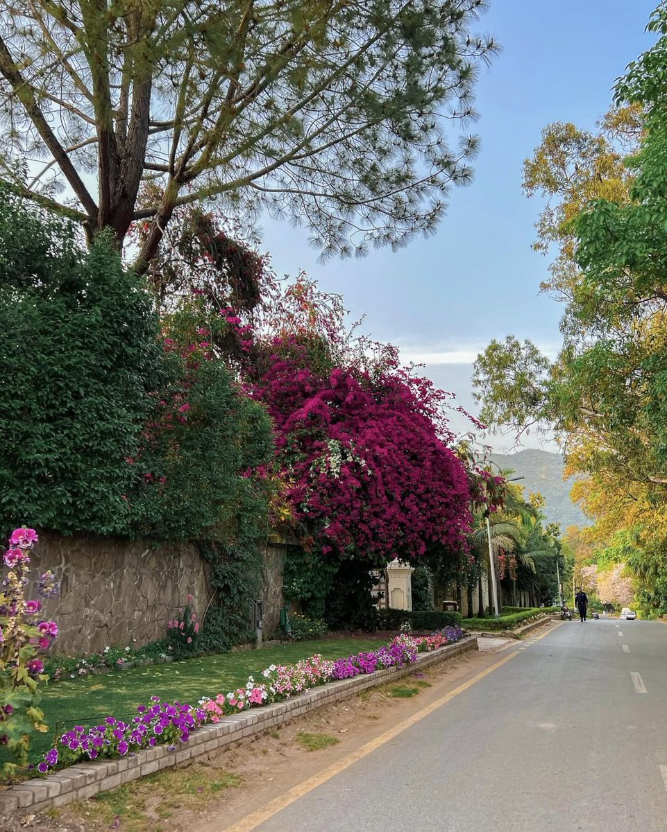 Kinnzayyy 2.0 tweet media