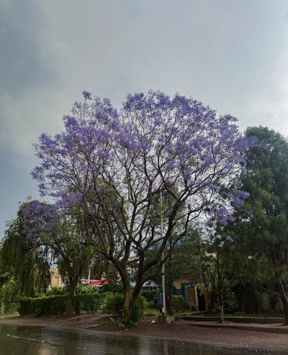 Kinnzayyy 2.0 tweet media