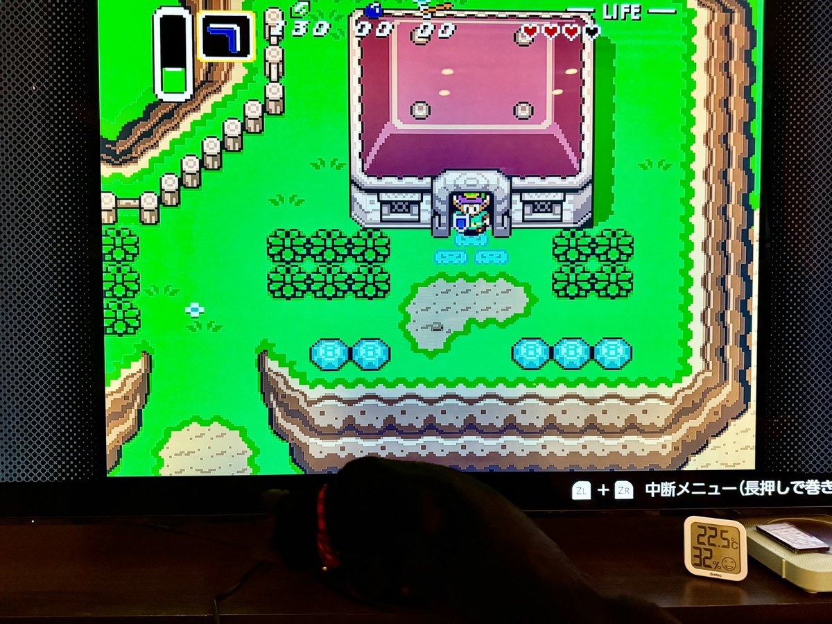 荒木　夜一（あらき　よるいち） tweet media