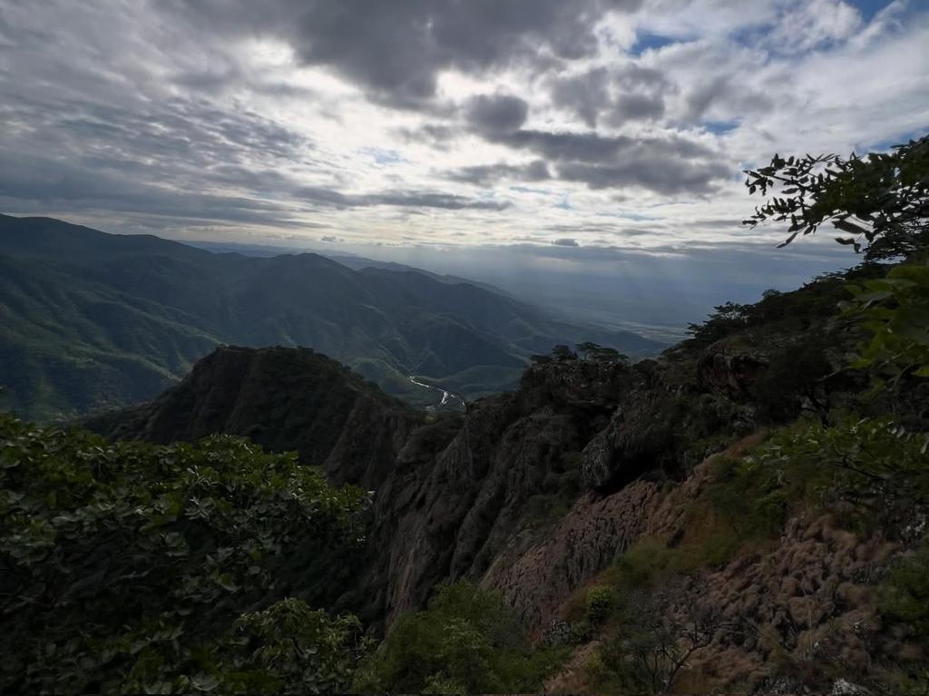 Charter Sights 🌺 tweet media