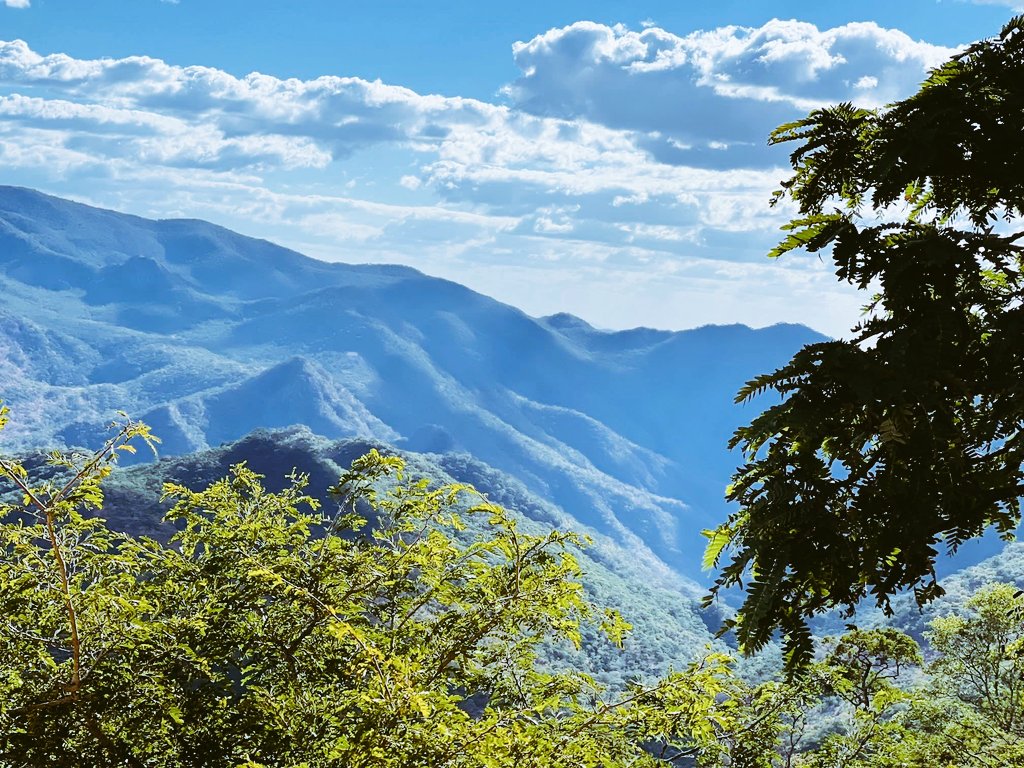 Charter Sights 🌺 tweet media