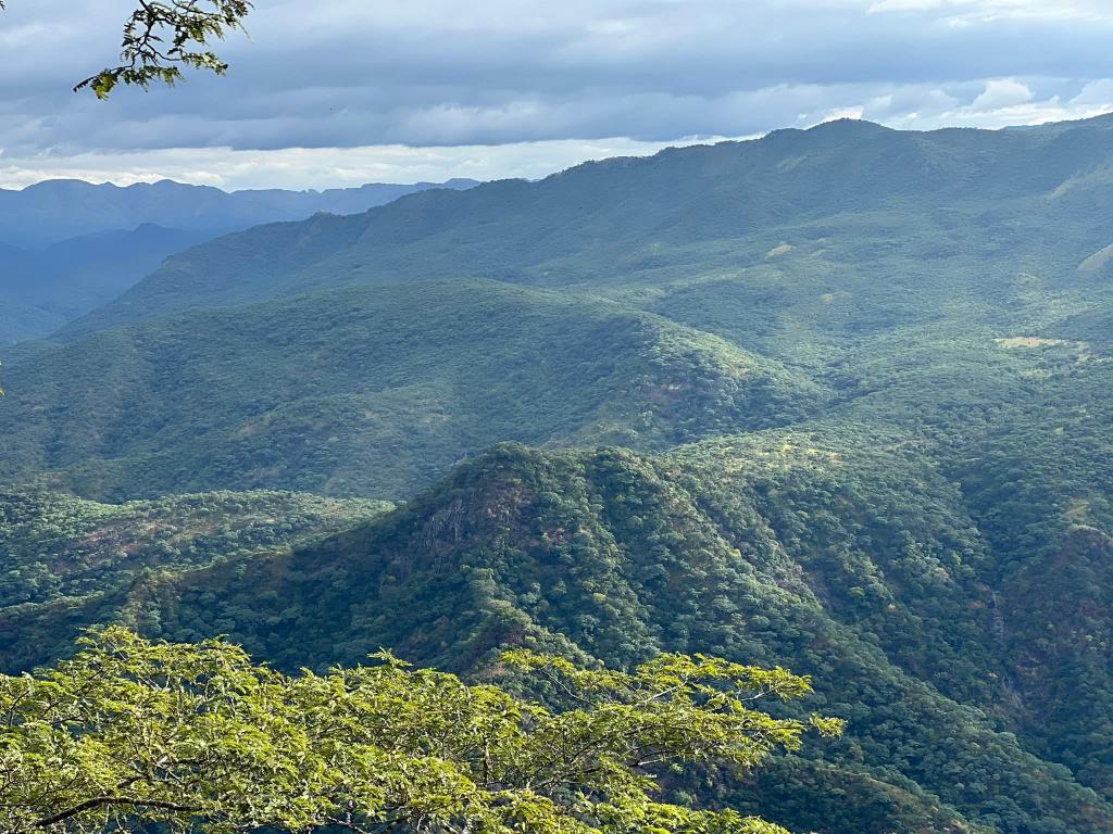 Charter Sights 🌺 tweet media