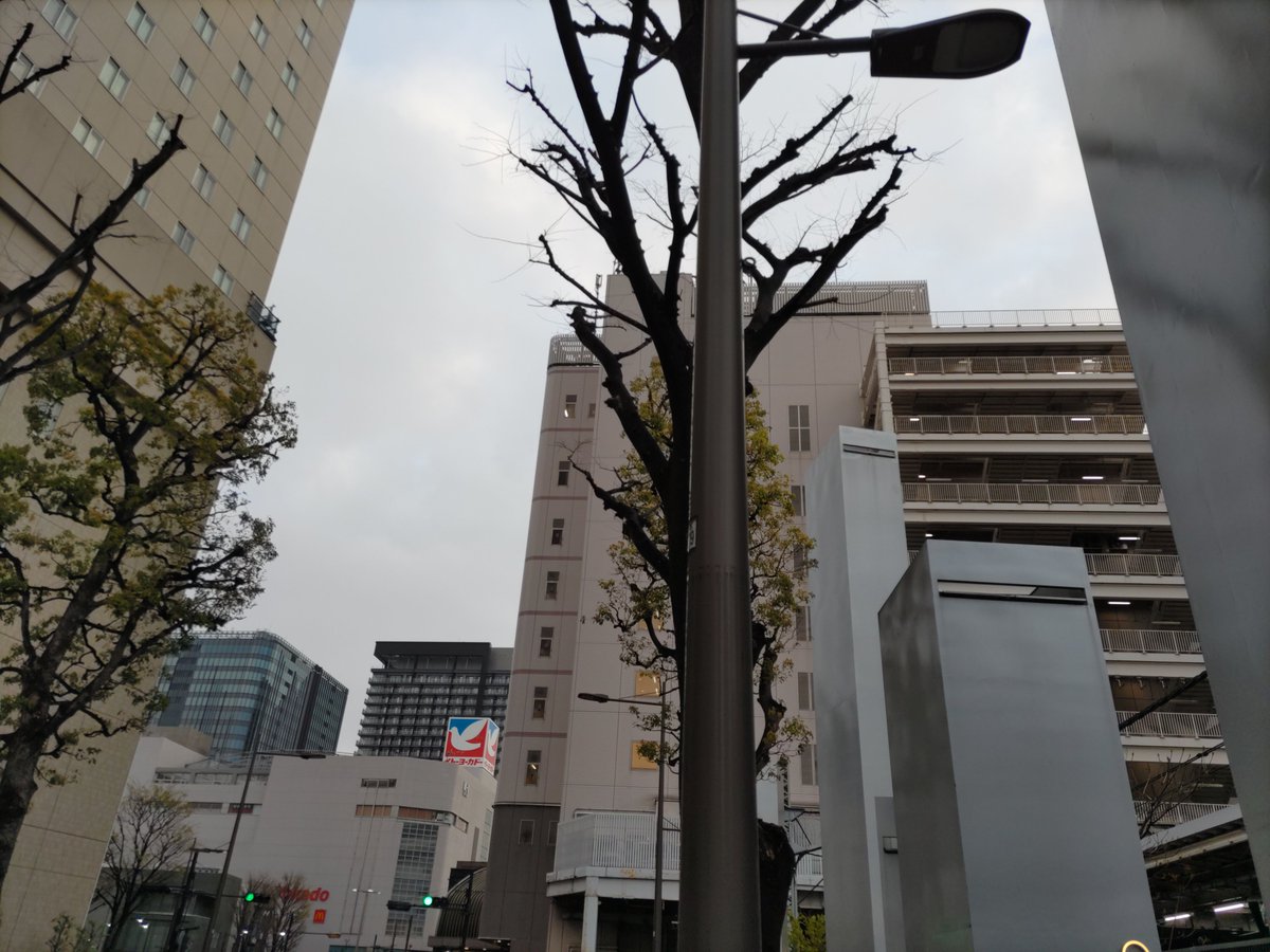 ろここ パンまつり 歯の治療中 tweet media