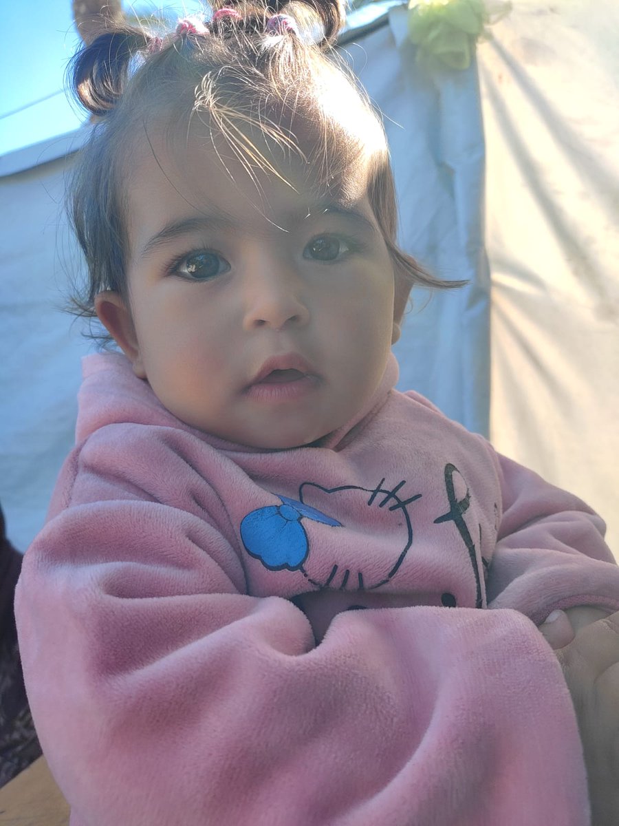 mhamed Ali tweet media