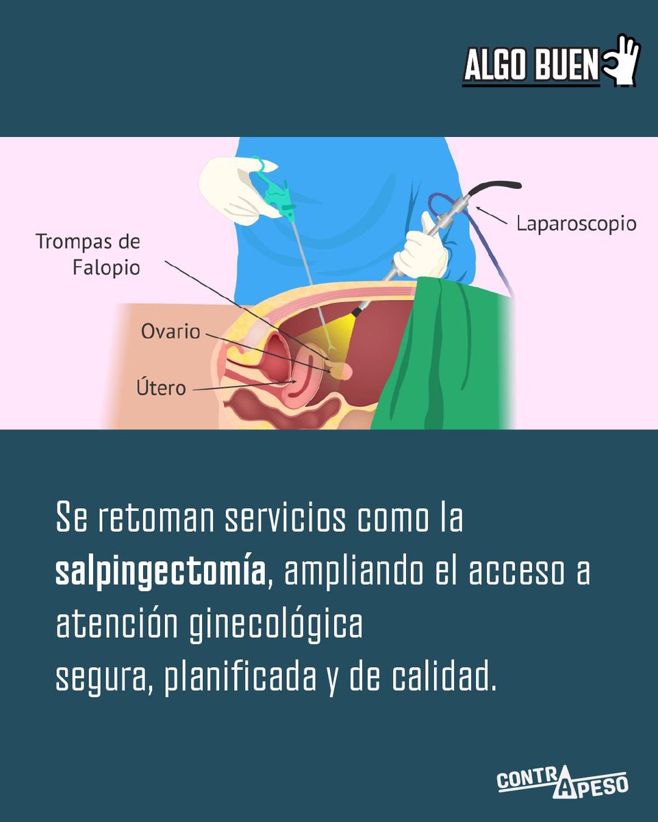 contrapesopanama tweet media