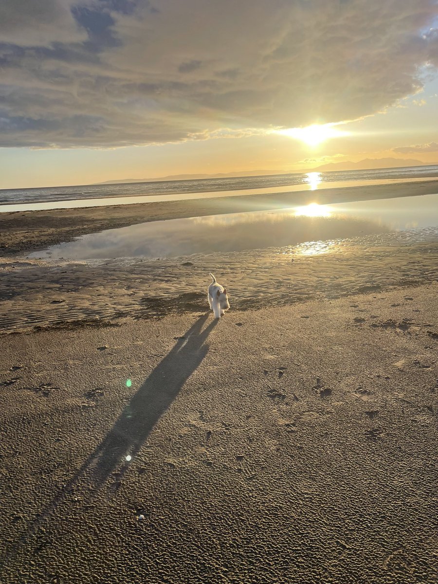 GAIL PIRIE🏴󠁧󠁢󠁳󠁣󠁴󠁿 tweet media