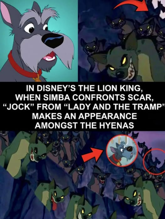 The Media Mines tweet media