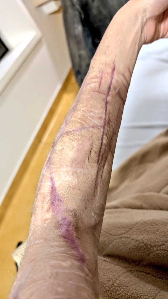 Mute | sh(ed)twt 🔭 -recovery- tweet media