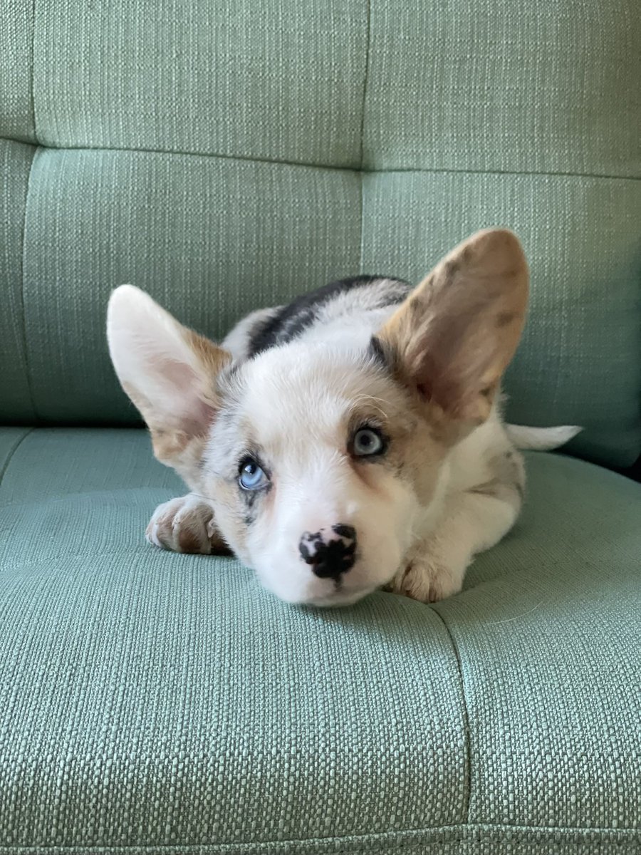 Bon 🦑〚DRAKON〛🇨🇦 tweet media