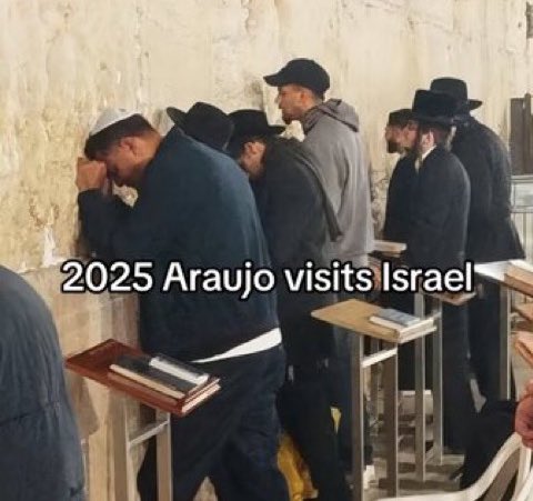 T 🇫🇷 tweet media