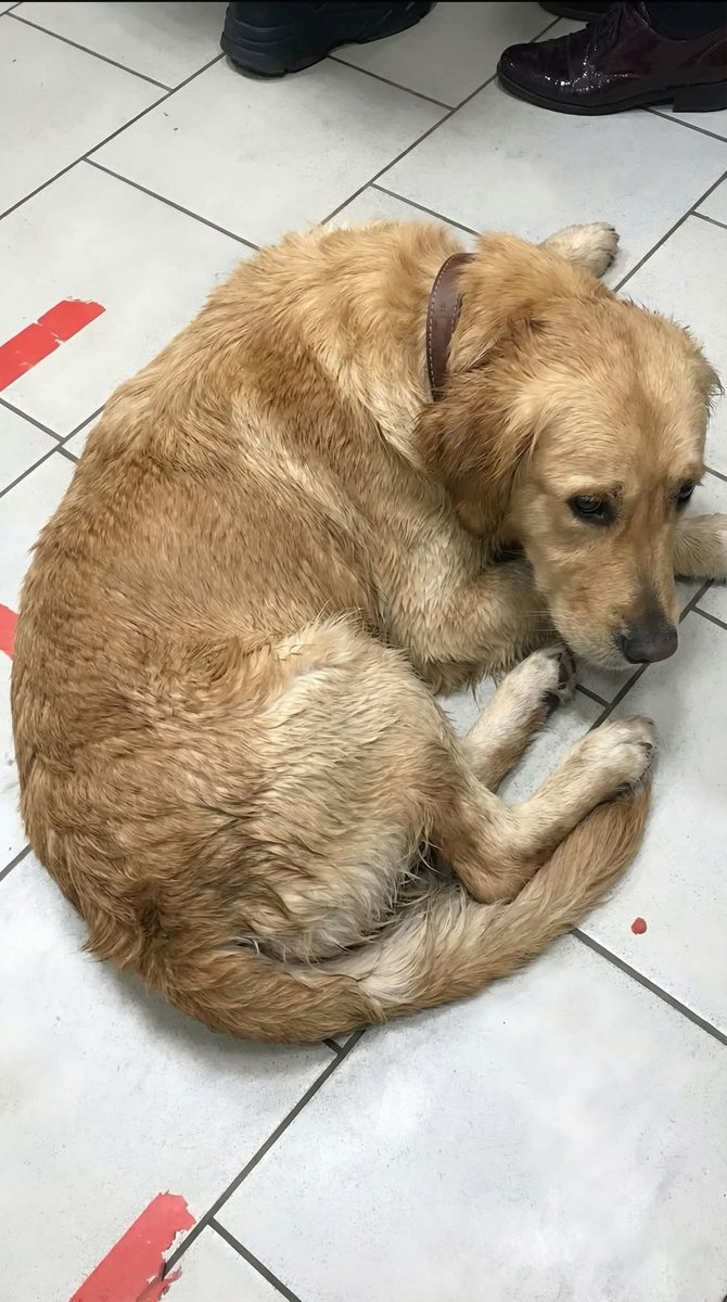 My babe got sick please pray for him ❤️❤️