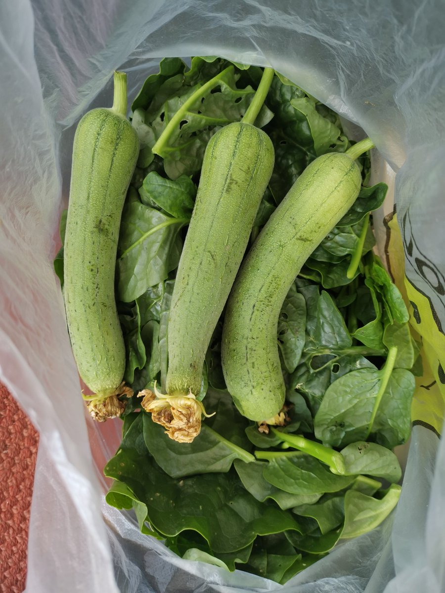 A 12 1 F tweet media