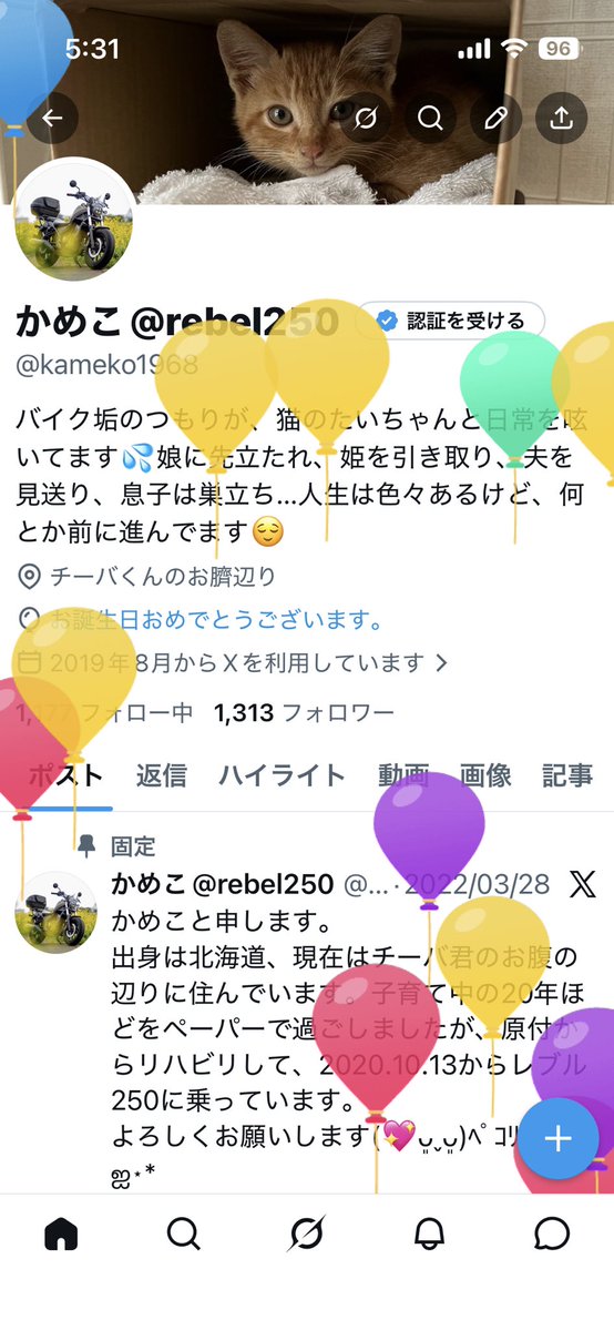 かめこ@rebel250 tweet media